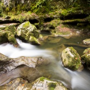 Tine de Conflens