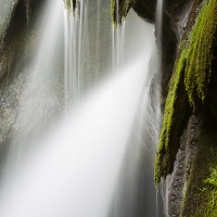 Tine de Conflens