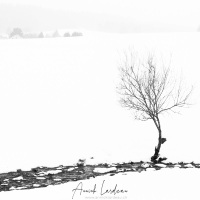 Paysage hivernal dans le Jura