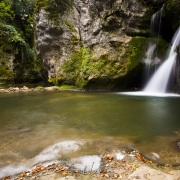 Tine de Conflens