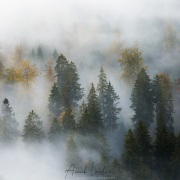 Automne dans le Jura