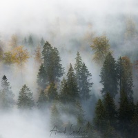 Automne dans le Jura