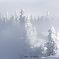 Neige, givre et brouillard au Creux-du-Van