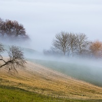 Ambiance automnale au pied du Jura