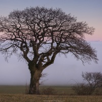 Coucher de soleil sur la plaine de l'Orbe