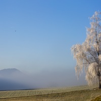 Paysage dans le brouillrd