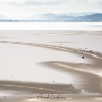 Neige et glace, lac de Joux