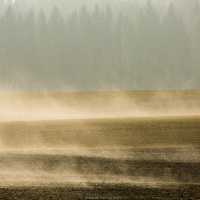 Paysage dans le brouillard