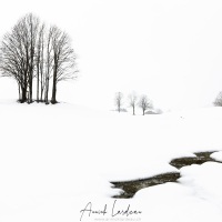 Paysage hivernal dans le Jura