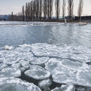 Froid polaire et bise  sur le lac de Neuchâtel