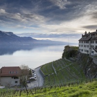 Lavaux