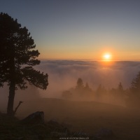 Coucher de soleil et brouilard sur le Jura