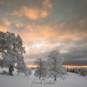 Paysage enneigé en fin de journée