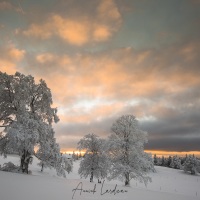 Paysage enneigé en fin de journée