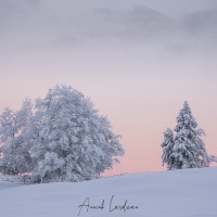 Paysage enneigé en fin de journée