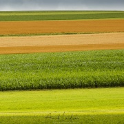 Paysage d'été dans le gros de vaud