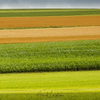 Paysage d'été dans le gros de vaud