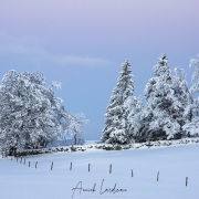 Paysage enneigé en fin de journée
