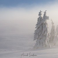 Neige, givre et brouillard au Creux-du-Van