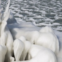 Froid polaire et bise  sur le lac de Neuchâtel