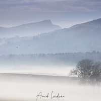 Paysage dans le brouillard