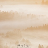 Brouillard automnal