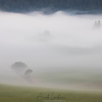 Brume matinale sur la vallée de la Brévine