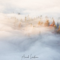 Brouillard automnal