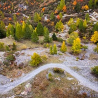 Couleurs d'automne