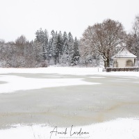 Paysage hivernal