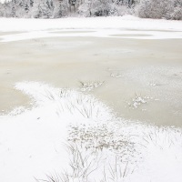 Paysage hivernal