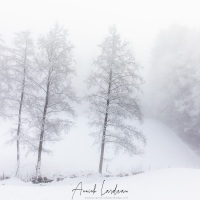 Neige, givre et brouillard