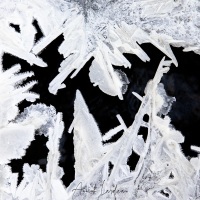 Dentelle de glace
