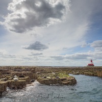 Paysage des iles Farns et ses phoques veaux de mer