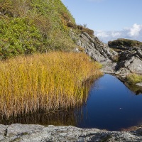 Paysage sur l'ile de Jura