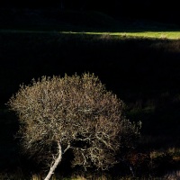 Paysage sur l'ile de Jura