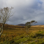 Paysage sur l'ile de Jura