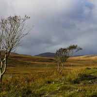 Paysage sur l'ile de Jura