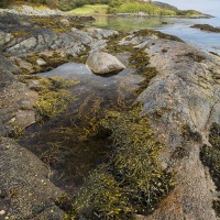 Paysage sur l'ile de Jura