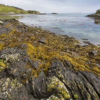 Paysage sur l'ile de Jura