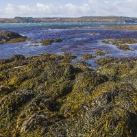 Paysage sur l'ile de Jura