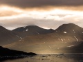 Lumières du matin en fond de fjord