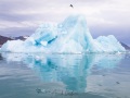 Iceberg