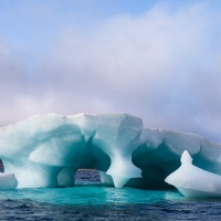 Iceberg