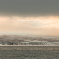 Ombres et lumières