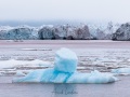 Iceberg devant la calotte glaciaire de l'ile du Nord-est: la couleur de la mer est dûe à la présence de terre rouge vêlée par la calotte