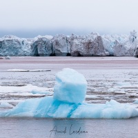 Iceberg devant la calotte glaciaire de l'ile du Nord-est: la couleur de la mer est dûe à la présence de terre rouge vêlée par la calotte