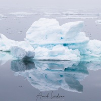 Iceberg