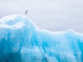 Iceberg