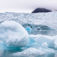 Iceberg devant un front de glacier
